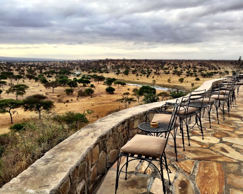 Image of chairs overlooking the Savannah 