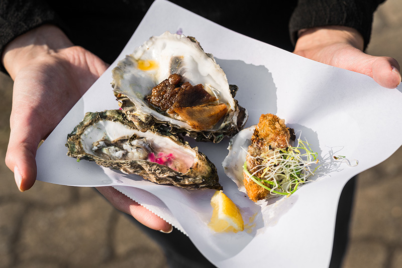 Food Festival - raw fried and smoked gourmet oysters