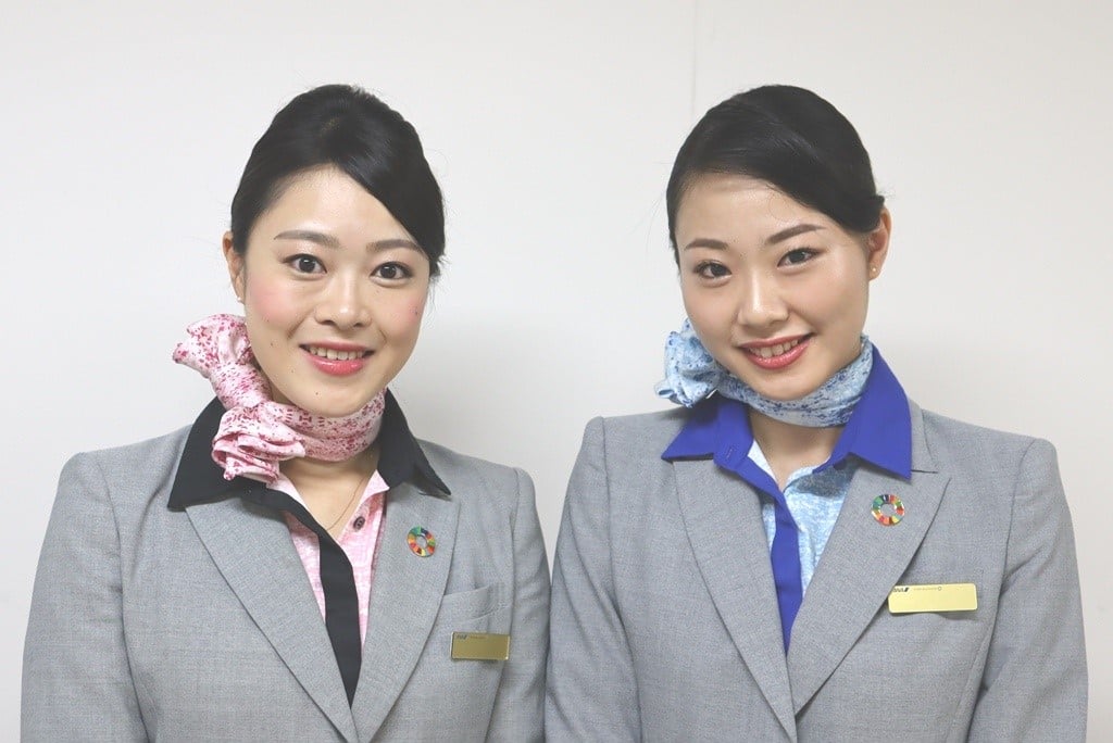 All Nippon Airways - Sustainable Development Goals Pin