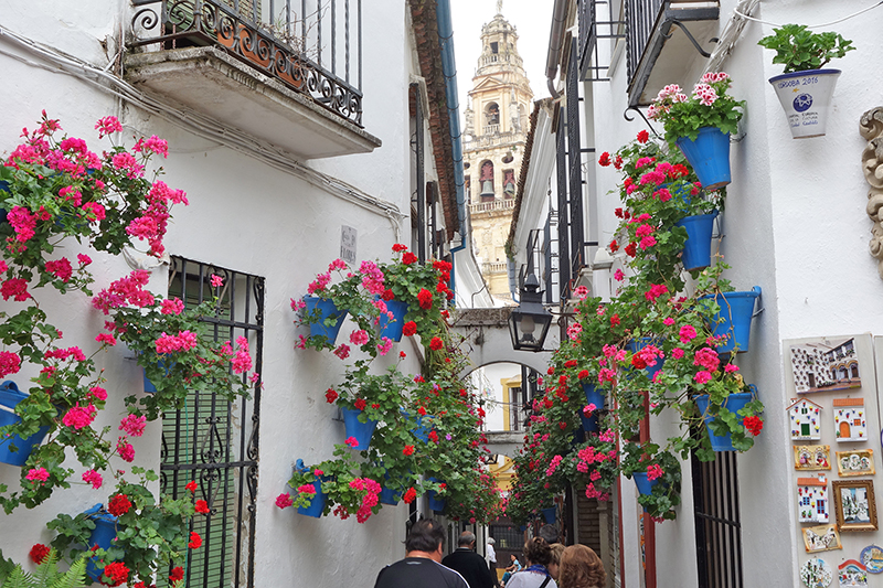 Strolling Córdoba's Back Streets | Luxury Travel Advisor