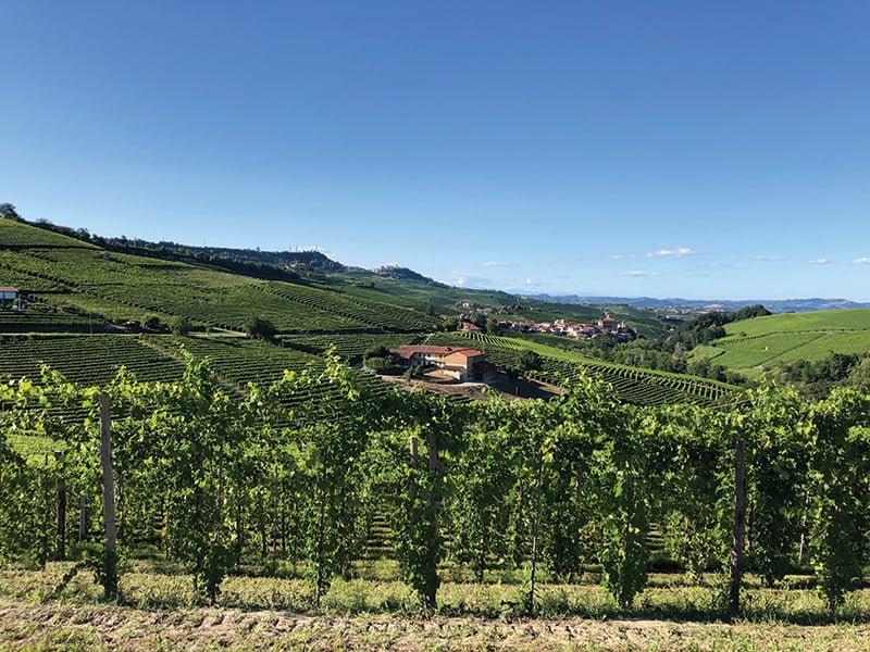 Le Langhe in southern Piemonte