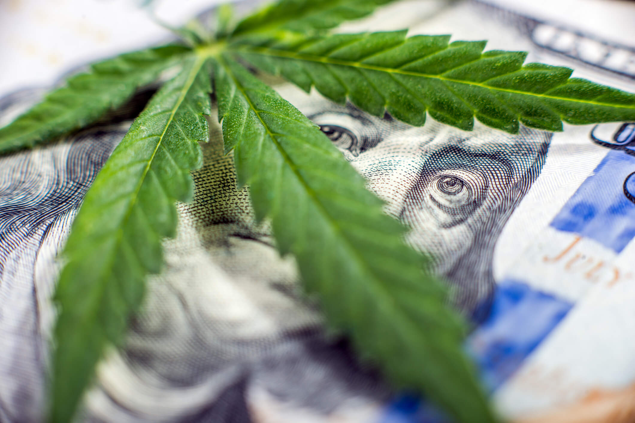 Cannabis leaf on top of money