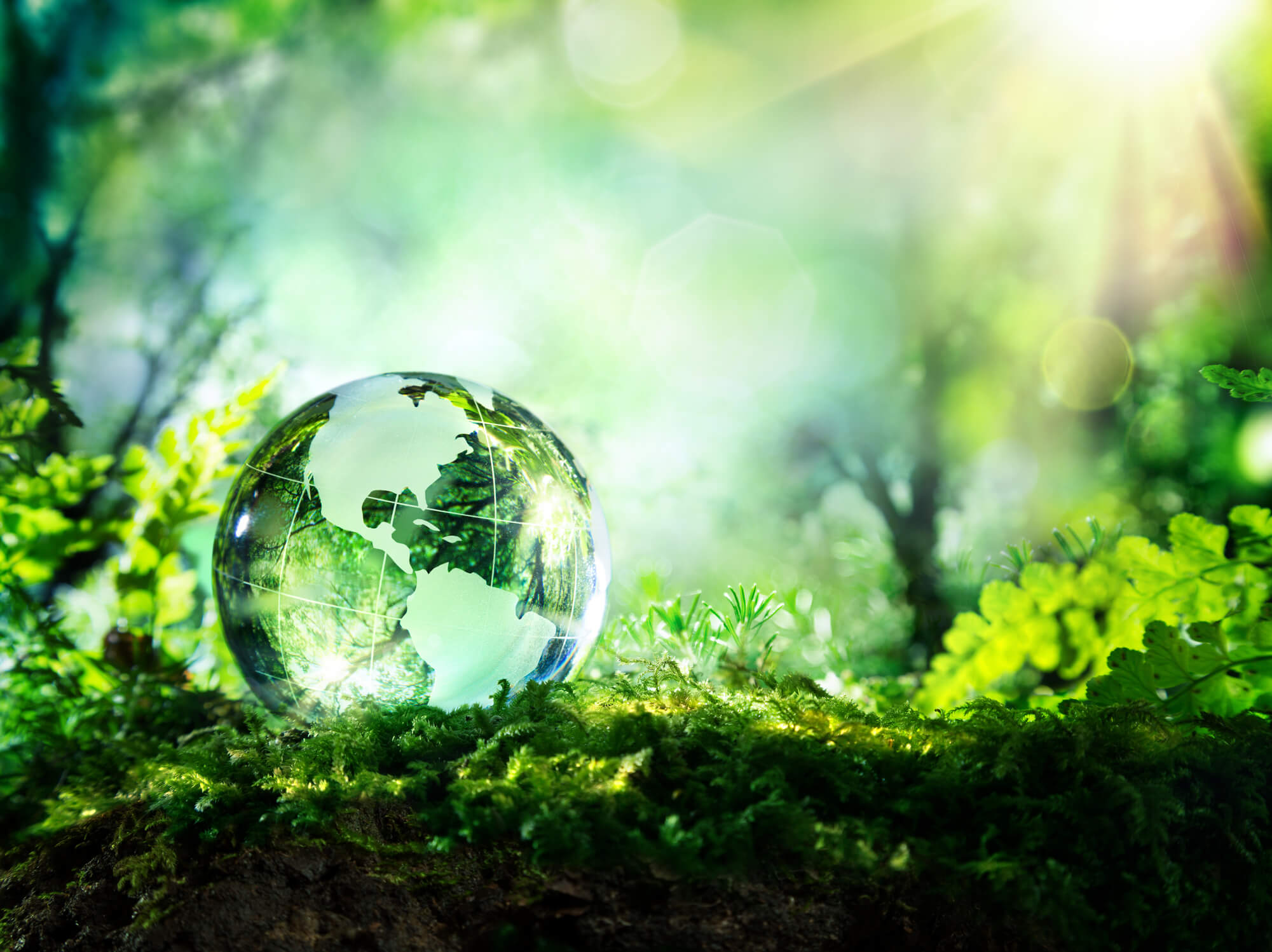 Glass model of the planet in a green forest