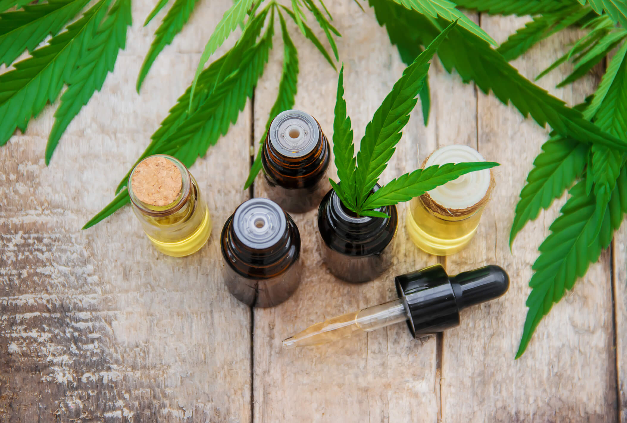 Marijuana leaves oils tinctures and extracts