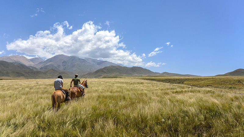 Horseback riding in the Andes