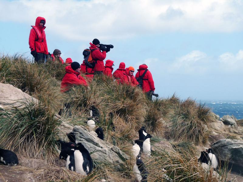 group viewing penguins in Antarctica