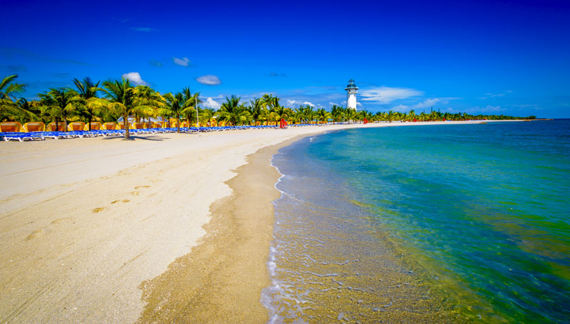 Beach at Harvest Caye in Belize