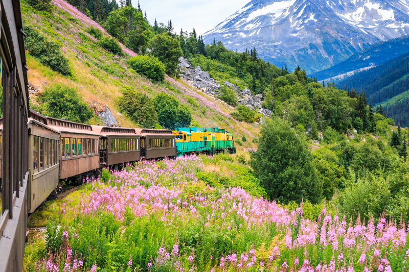 Skagway Alaska The scenic White Pass  Yukon Route Railroad