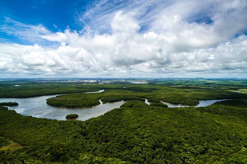 Amazon River in Brazil