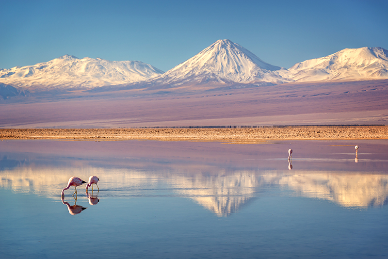 Atacama Desert with salt flats and Andes Mountains in Chile