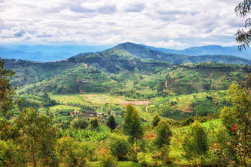 Nyungwe National Park Rwanda
