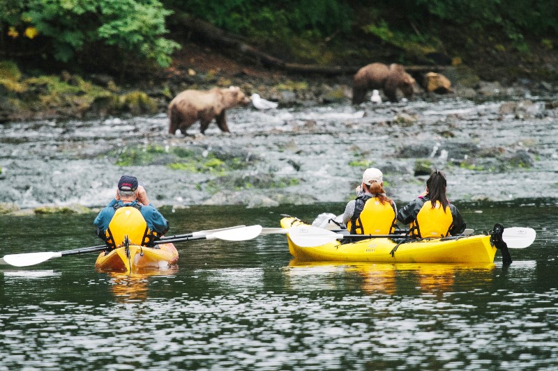 UnCruise Adventures Kayaks from Vessel Bear Watching Photo by Cameron Zegers Courtesy of UnCruise Editorial Use Only