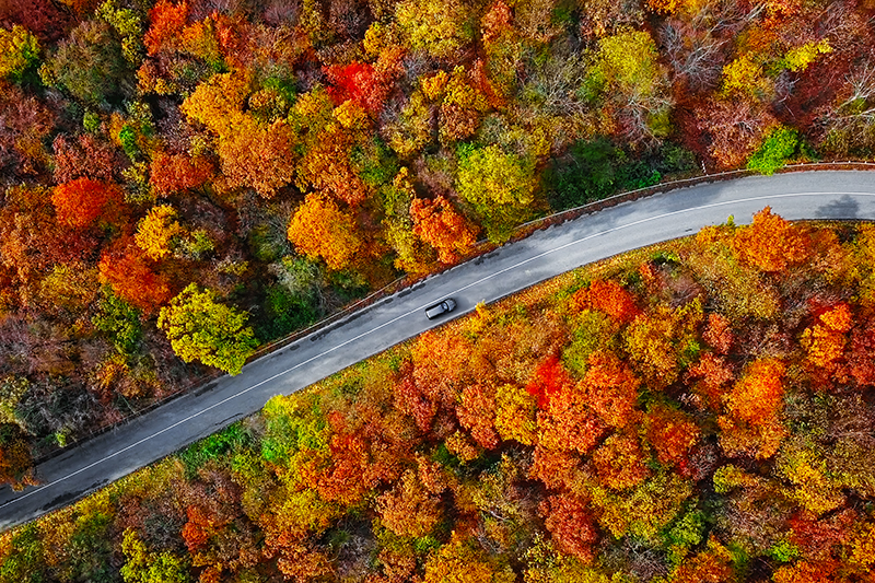driving in the woods during fall