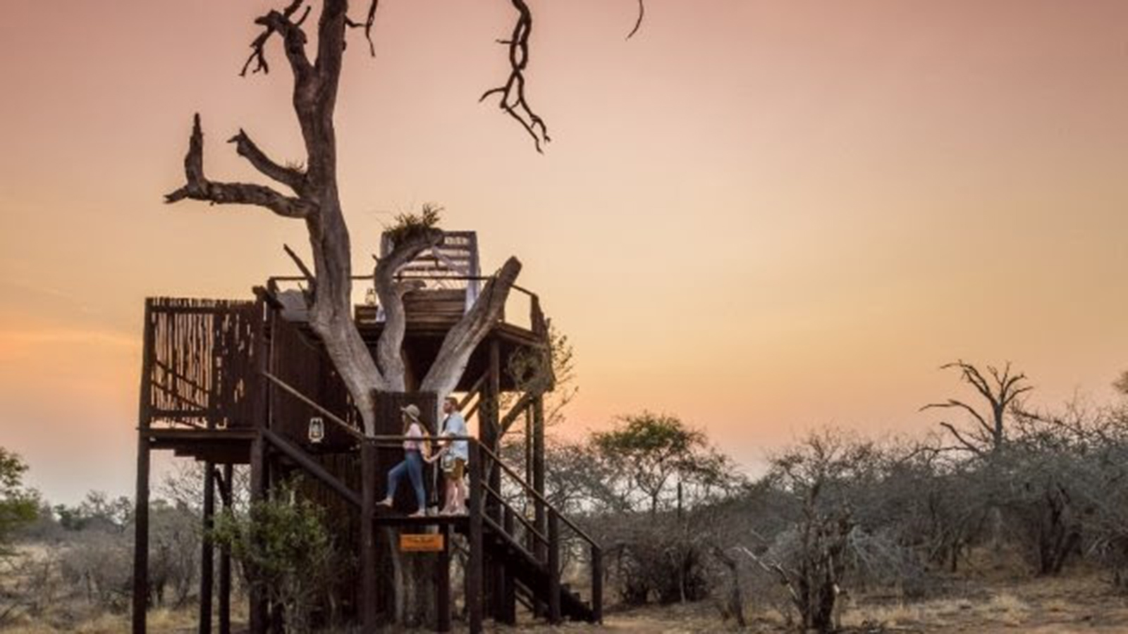 Lion Sands Private Game Reserves Chalkley Treehouse