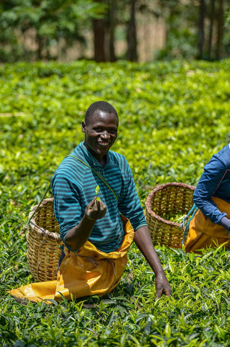 Rwanda Tea Report Workers Study 2023 - Responsible Digital Payments 