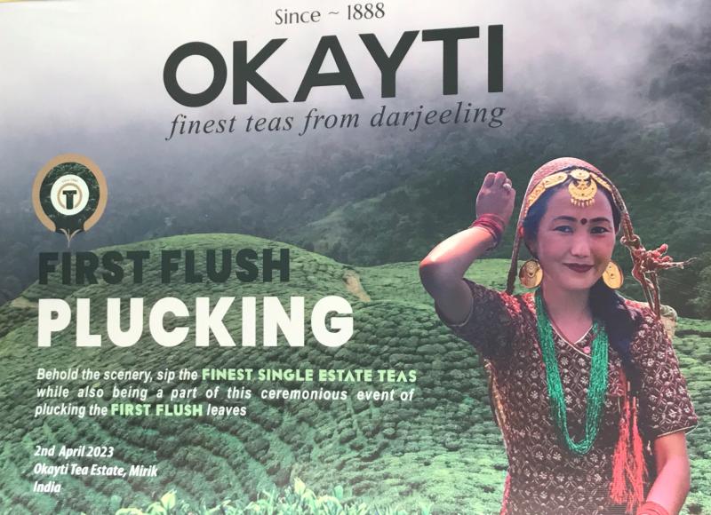 OKAYTI - Darjeeling - Rajeev Baid - Tea