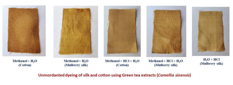 Green Tea Extract and the Textile and Dyes Industry
