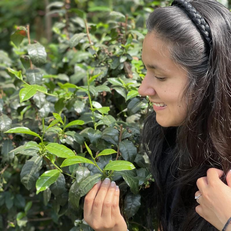 Attracting the Next Generation of Tea Drinkers - Tea Sommelier Antoninna Del Sol Pardo