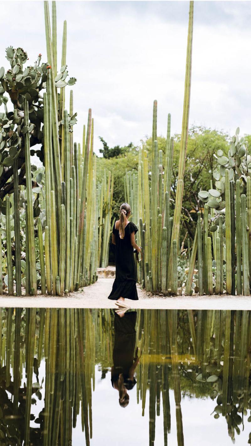 The Ethnobotanical Garden of Oaxaca