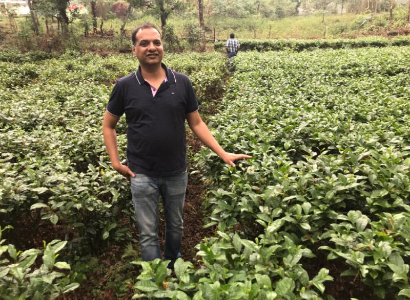 Darjeeling Tea Planters - India's Tea Industry