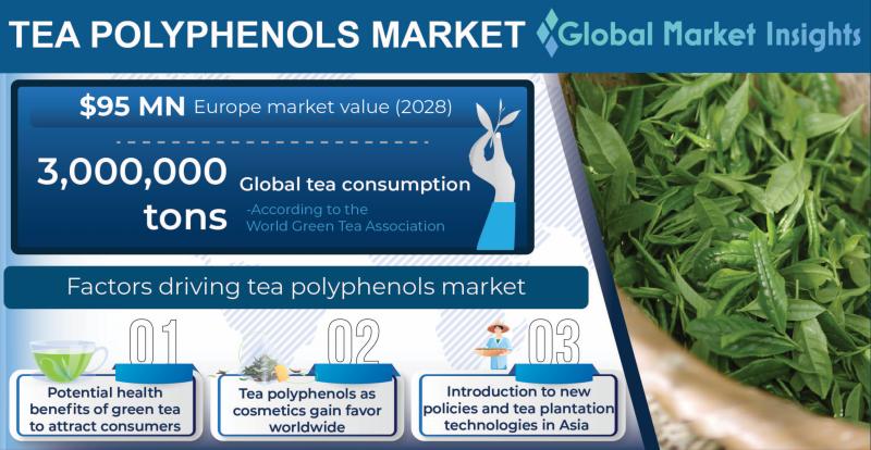 Tea Polyphenols Market Data Report