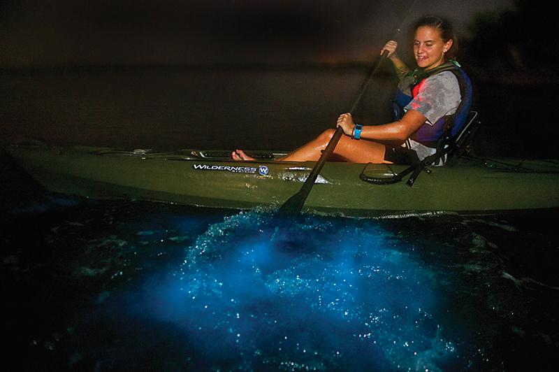 Bioluminescent Kayaking