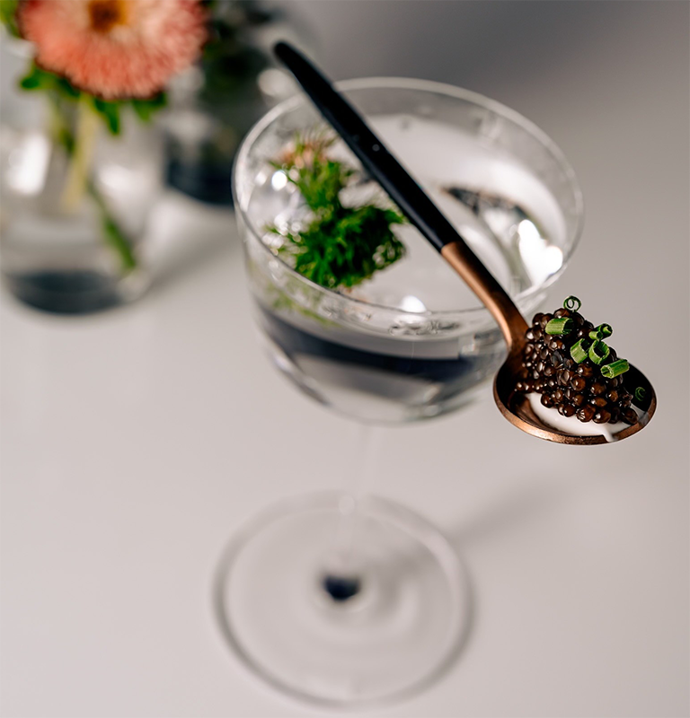 vodka cocktail recipe