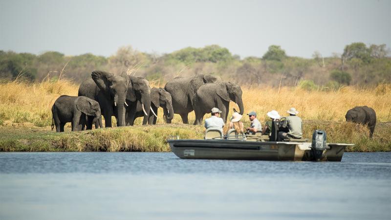 Chobe-Savanna-Lodge-Boat-Safari