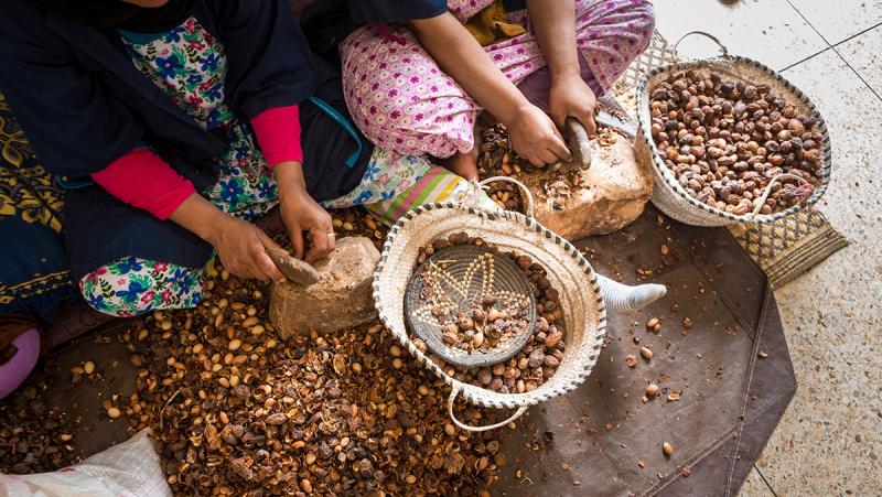 Moroccan women breaking Argan nuts 