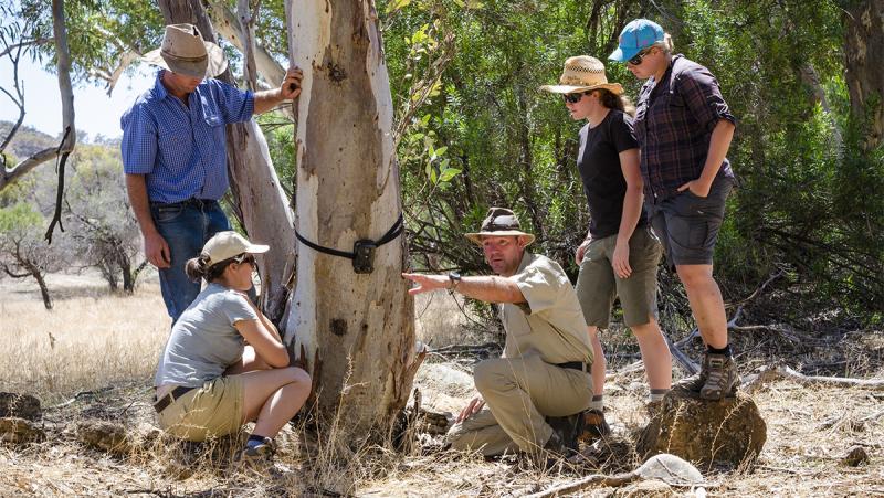 Guests participate in setting up camera traps at Arkaba Conservancy in South Australia
