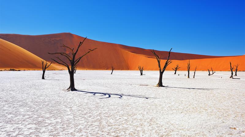 Namib Desert_Namibia