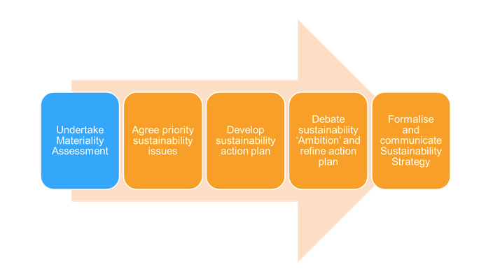 Typical Sustainability Strategy development