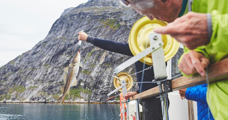 Visit Greenland Catching Cod, Arctic Boat Charter. Photo - Peter Lindstrom , Visit Greenland