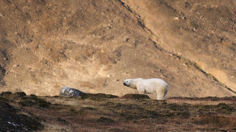 The Arctic as seen in the month of September