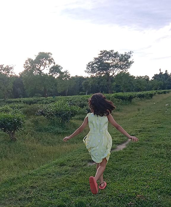 atcl assam tea farms