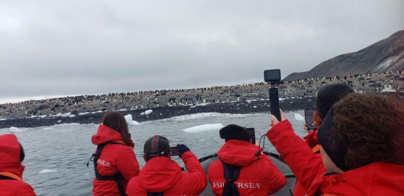 Silver Endeavour's guests snap photos of penguins ashore as their Zodiac cruise hovers just offshore.