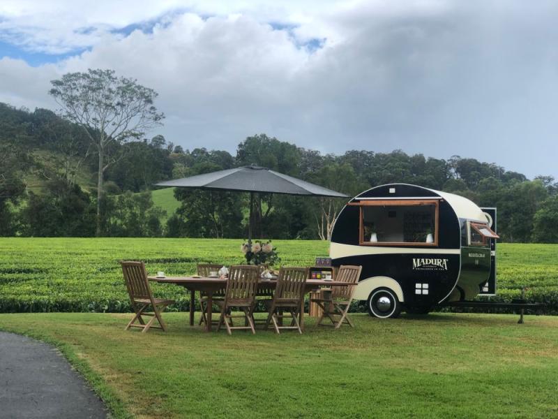 madura tea estate