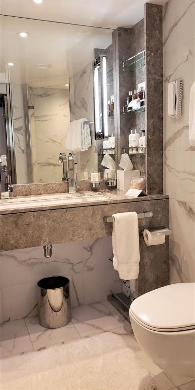 A portion of the bathroom for #823 on Seabourn Venture.