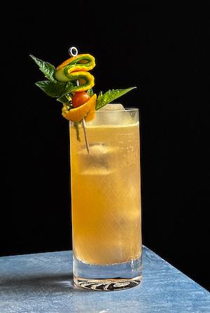 usbg shake it up finalist