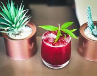 thanksgiving cocktail recipe