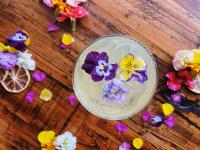 memorial day cocktail recipes