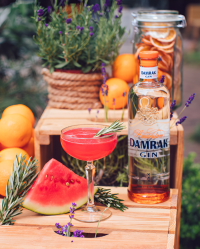 gin cocktails