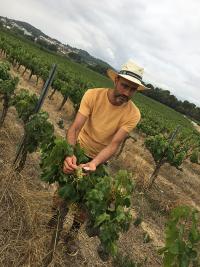 cava wine