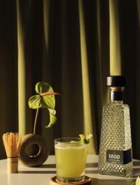 margarita recipe