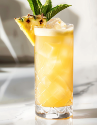 gin cocktail