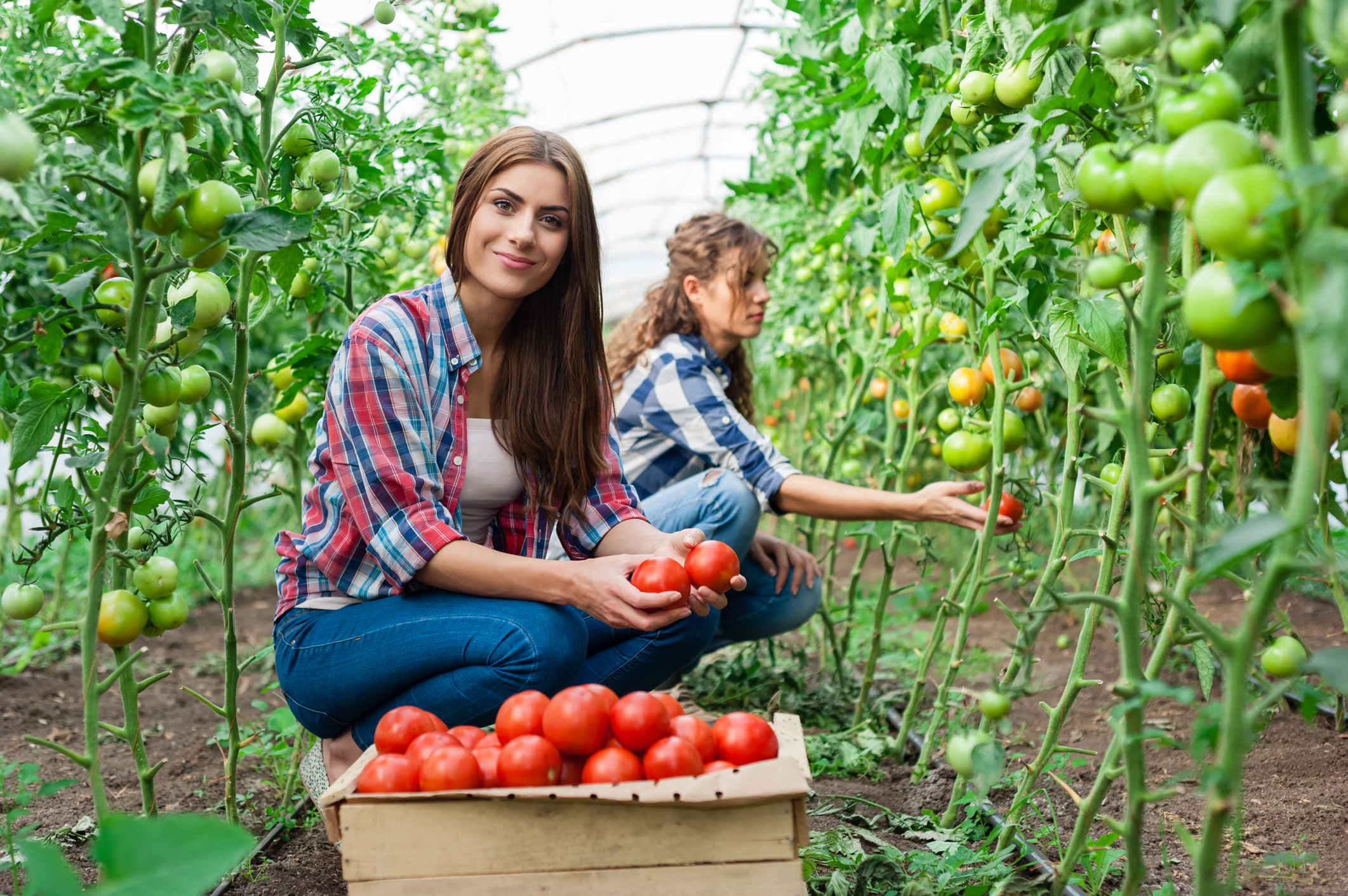 skincare benefits of tomatoes vitamins tomato