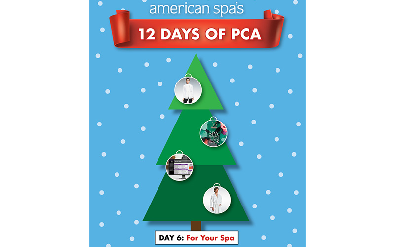 12 Days of PCA Day 6