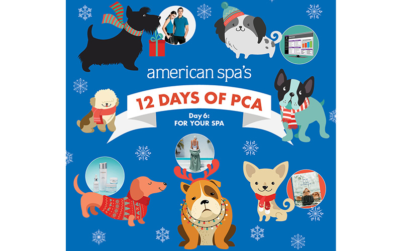 American Spas 12 Days of PCA Day 6