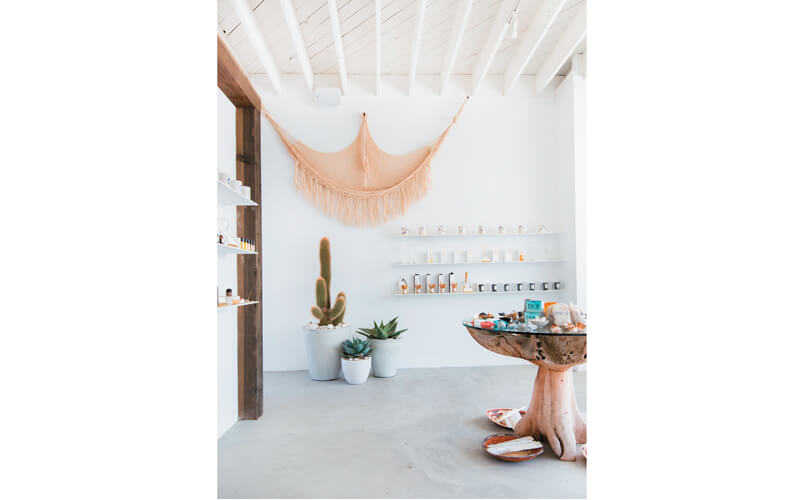 Natural wood exposed beams and succulent plants are design elements of all The Now spas