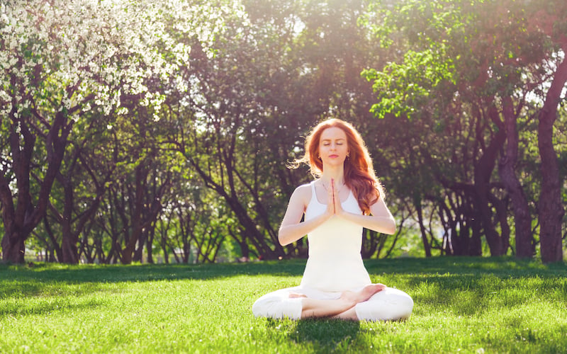 Chan Meditation and Yoga